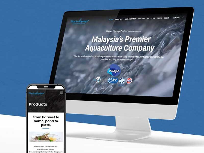 Blue Archipelago Website Design